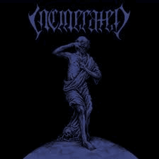 Incinerated  – The Epitome Of Transgression LP