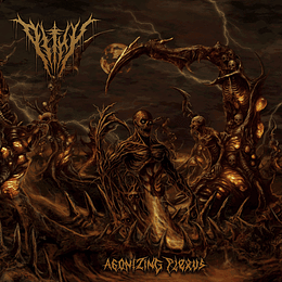 Pithy – Agonizing Plexus CD