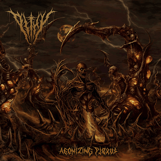 Pithy – Agonizing Plexus CD