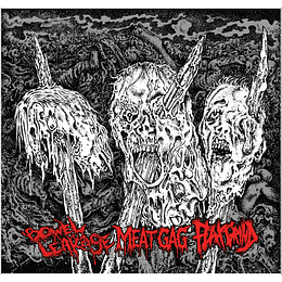 Bowel Leakage / Meat Gag / Flax (11) – Bowel Leakage / Meat Gag / Flax CD