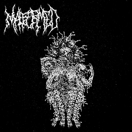 Malformed – The Gathering Of Souls MCD