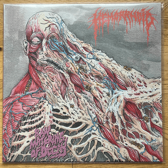 Hemorrhoid  – Raw Materials Of Decay CD