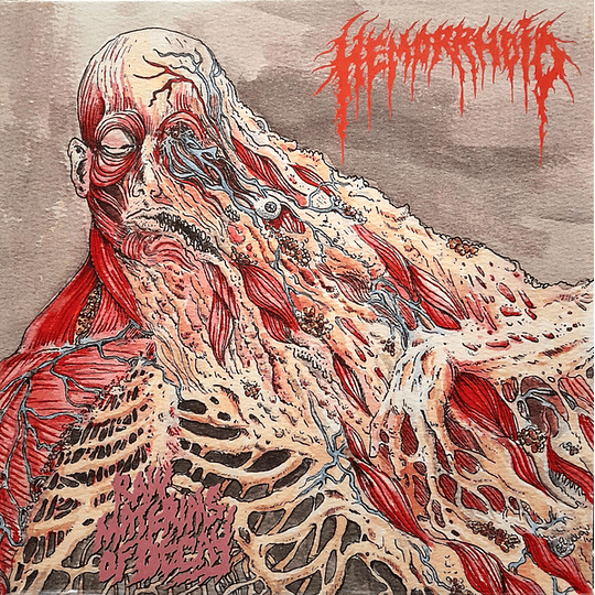 Hemorrhoid  – Raw Materials Of Decay LP