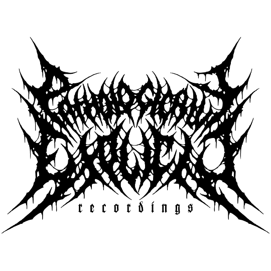 4 T-shirts Pack/ Pack de 4 Camisetas T-SHIRT SIZE XL