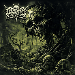 Disorge - Disorge CD