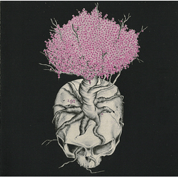 Dead Kosmonaut – Rekviem MCD