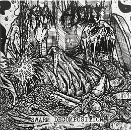 Raw Addict – Swarm Decomposition CD