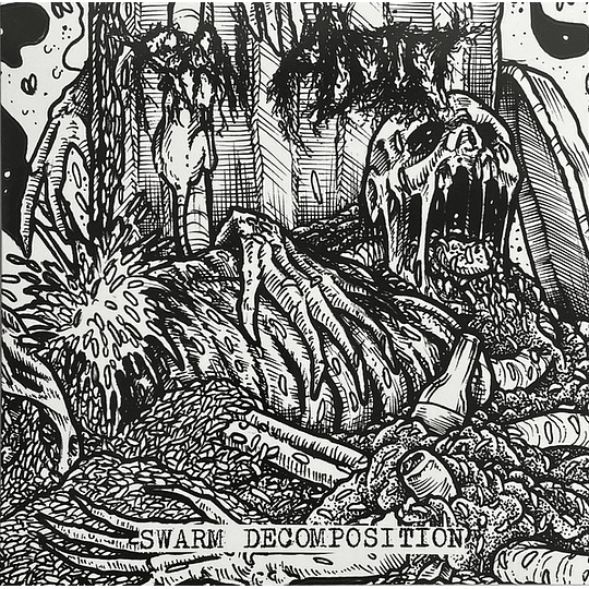 Raw Addict – Swarm Decomposition CD