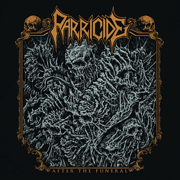 Parricide – After The Funeral 2LPS