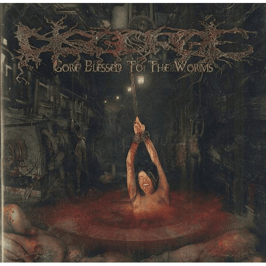 Disgorge – Gore Blessed To The Worms LP