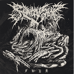 Sanity Slip – FWYH CD