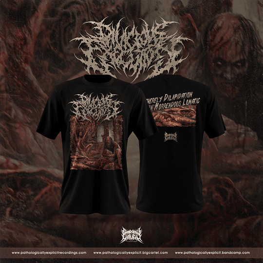 Divicious Execution - Severely Dilapidation... T-shirt SIZE XL