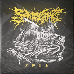 Sanity Slip – FWYH LP