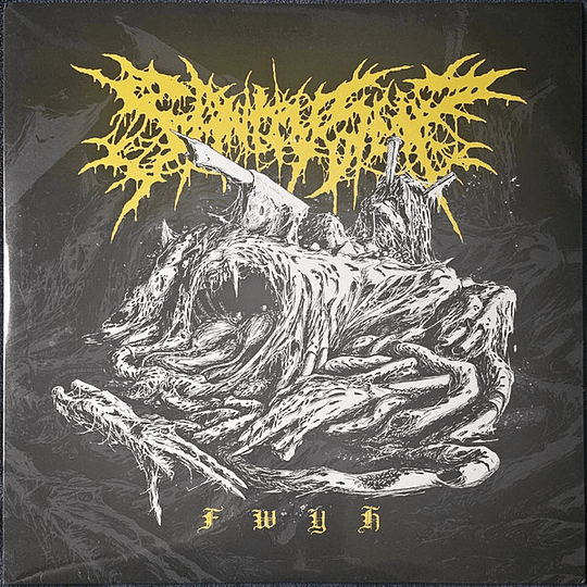 Sanity Slip – FWYH LP