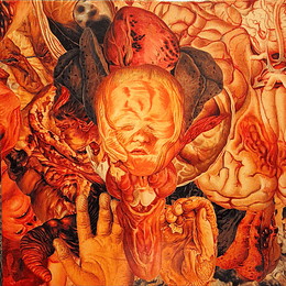 FesterDecay – Reality Rotten To The Core  LP