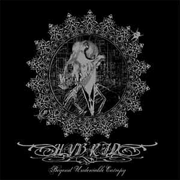 Hybrid  – Beyond Undeniable Entropy DIGMCD