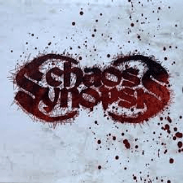 Chaos Synopsis – Art Of Killing CD