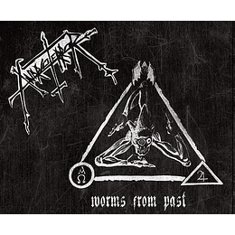 Anarcoterror – Worms From Past DIGSLEEV