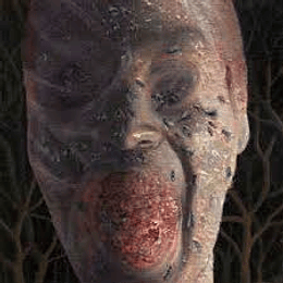 Festerday – The Four Stages Of Decomposition 2CDSDIGCD