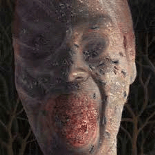 Festerday – The Four Stages Of Decomposition 2CDSDIGCD