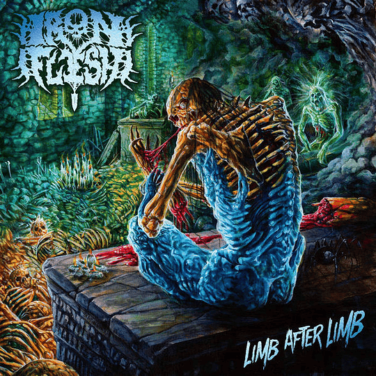 Iron Flesh – Limb After Limb DIGCD