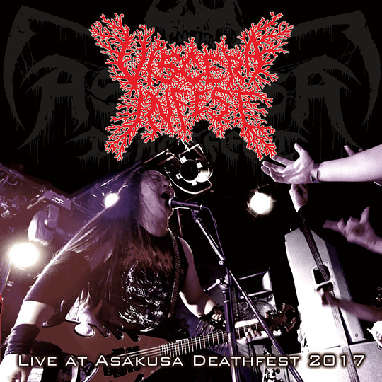 Viscera Infest – Live At Asakusa Deathfest 2017 DIGSLEEV