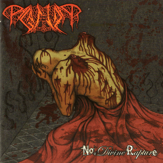 Paganizer – No Divine Rapture CD