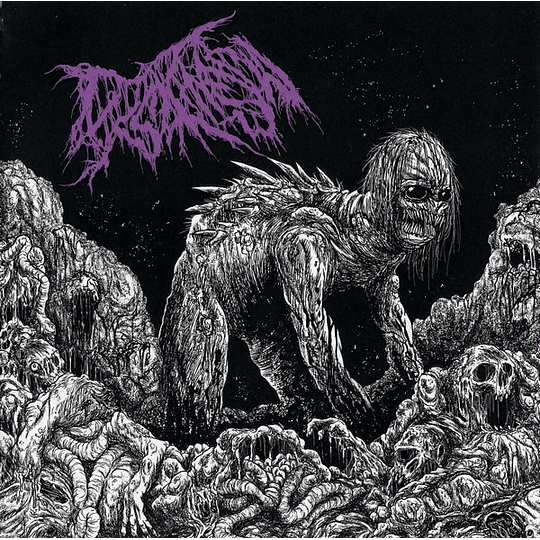 Dyskinesia – Micturating Deposits Of Grit Through The Urinary Tract MCD