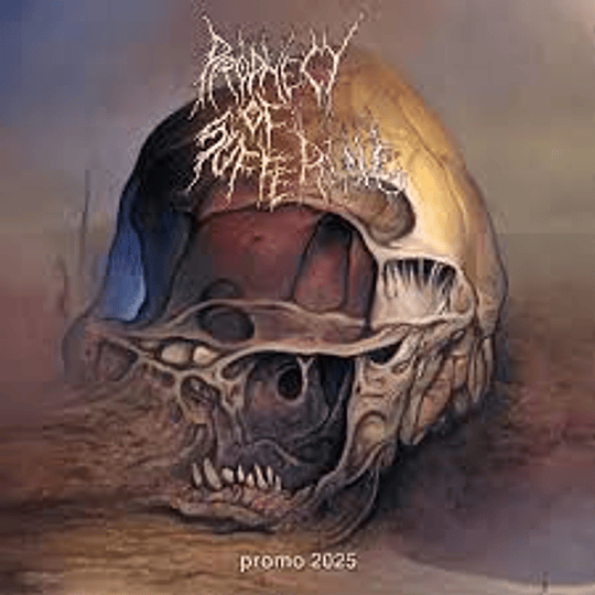 Prophecy of Suffering – Promo 2025 CD