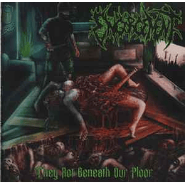 Engorgement – They Rot Beneath Our Floor CD