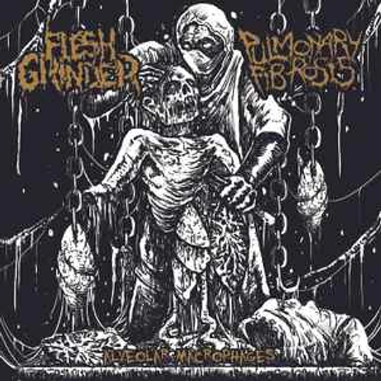 Flesh Grinder, Pulmonary Fibrosis – Alveolar Macrophages MCD
