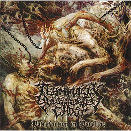 Terminally Your Aborted Ghost – Putrefaction In Parallax MCD