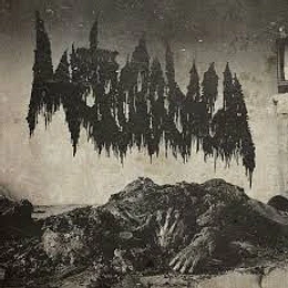 Metrorrhagia - Carbonized Isolation CD