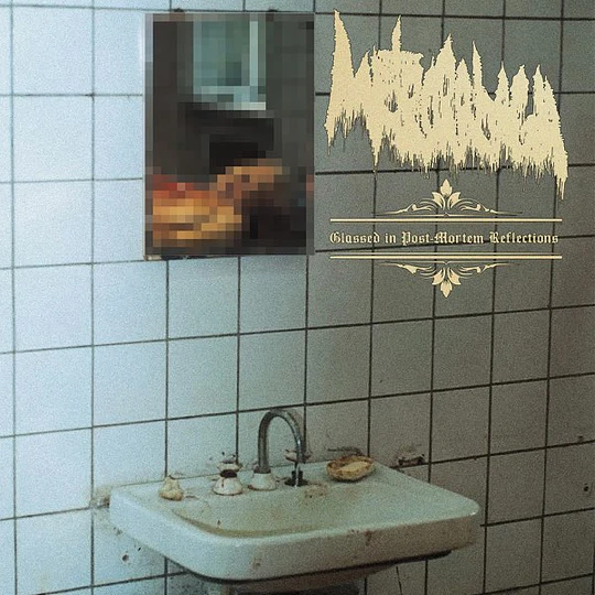 Metrorrhagia Glassed In Post-Mortem Reflections CD