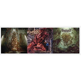 Neurologic Pathology / Enfrenzied/ Evisceromamo....- 3 CDS PACK CD