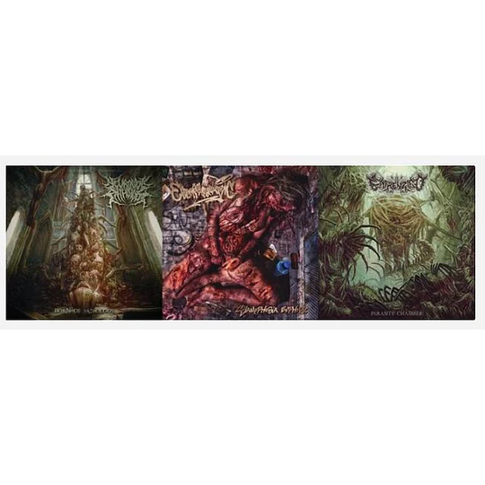 Neurologic Pathology / Enfrenzied/ Evisceromamo....- 3 CDS PACK CD