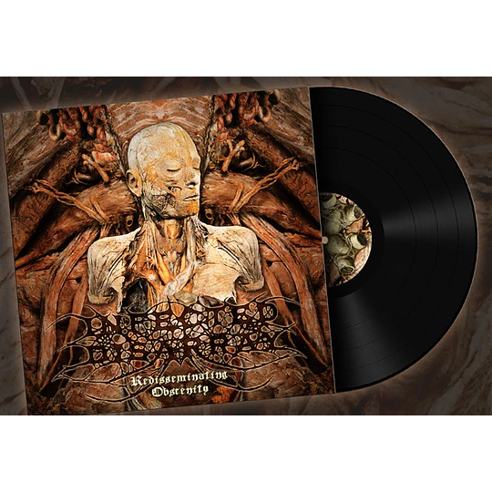 Infected Disarray- Redisseminating Obscenity LP
