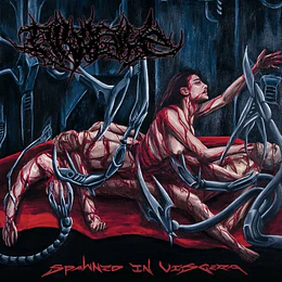 Divulsive – Spawned in Viscera CD