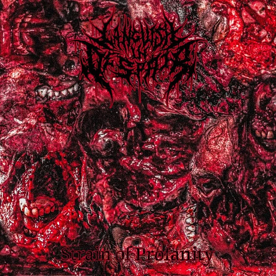 Languish In Despair – Strain Of Profanity CD