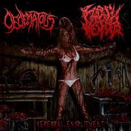 Oedematous / Flesh Vendor - Split CD