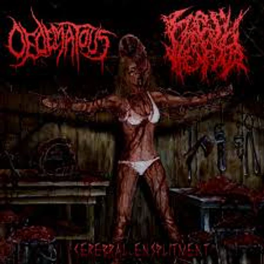 Oedematous / Flesh Vendor - Split CD