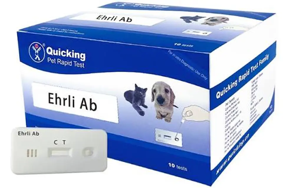 Ehrlichia canis Test Rápido PK/4 tests 1