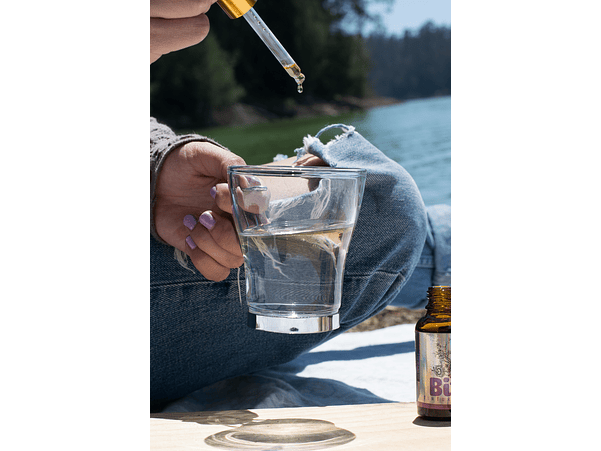 Tintura Madre: Bitol – Dulces sueños 2