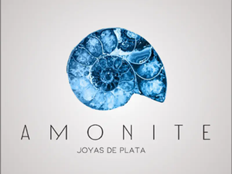 Amonite