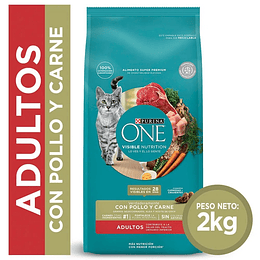 One Adulto pollo carne 2Kg