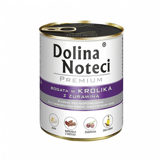 DOLINA NOTECI