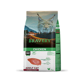 BRAVERY