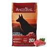 ANCESTRAL