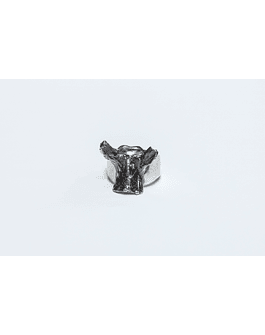 ANILLO VERTEBRA