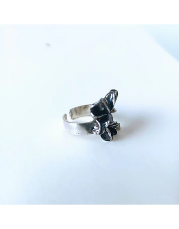 anillo SEMILLA 